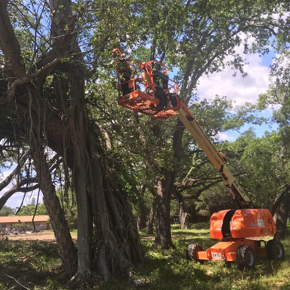 Professional landscape installation in Cooper City, FL - JBK Trees