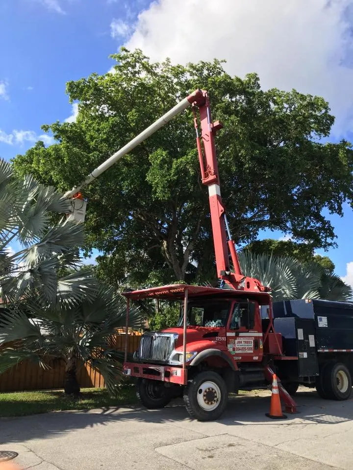 Reliable yard cleanup service near you across Cooper City, FL - JBK Trees