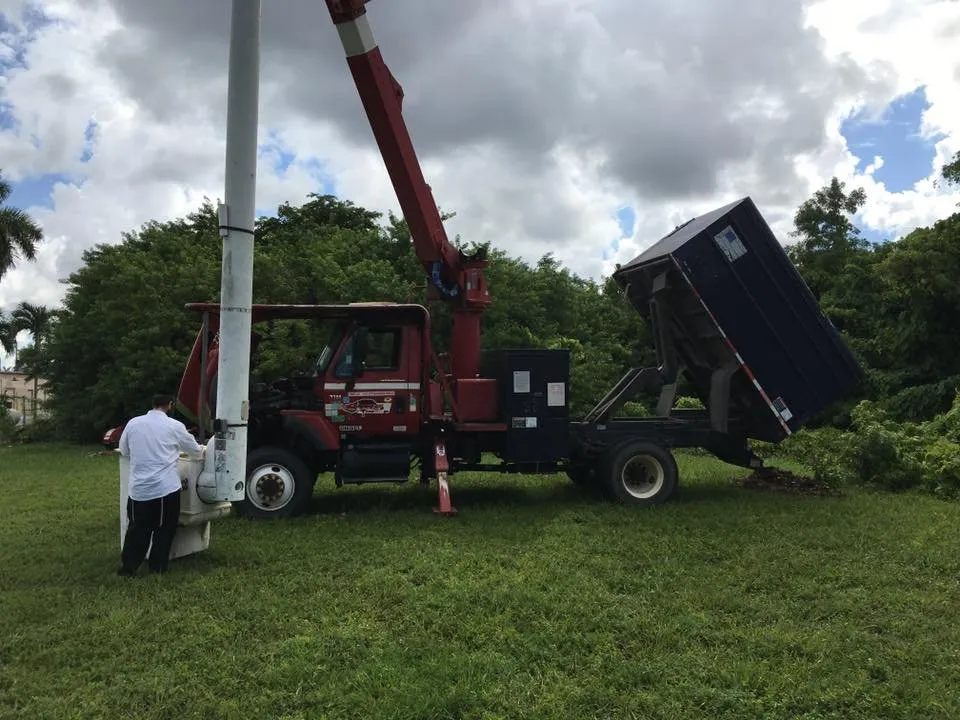Expert yard cleanup service for beautiful yards in Cooper City, FL by JBK Trees