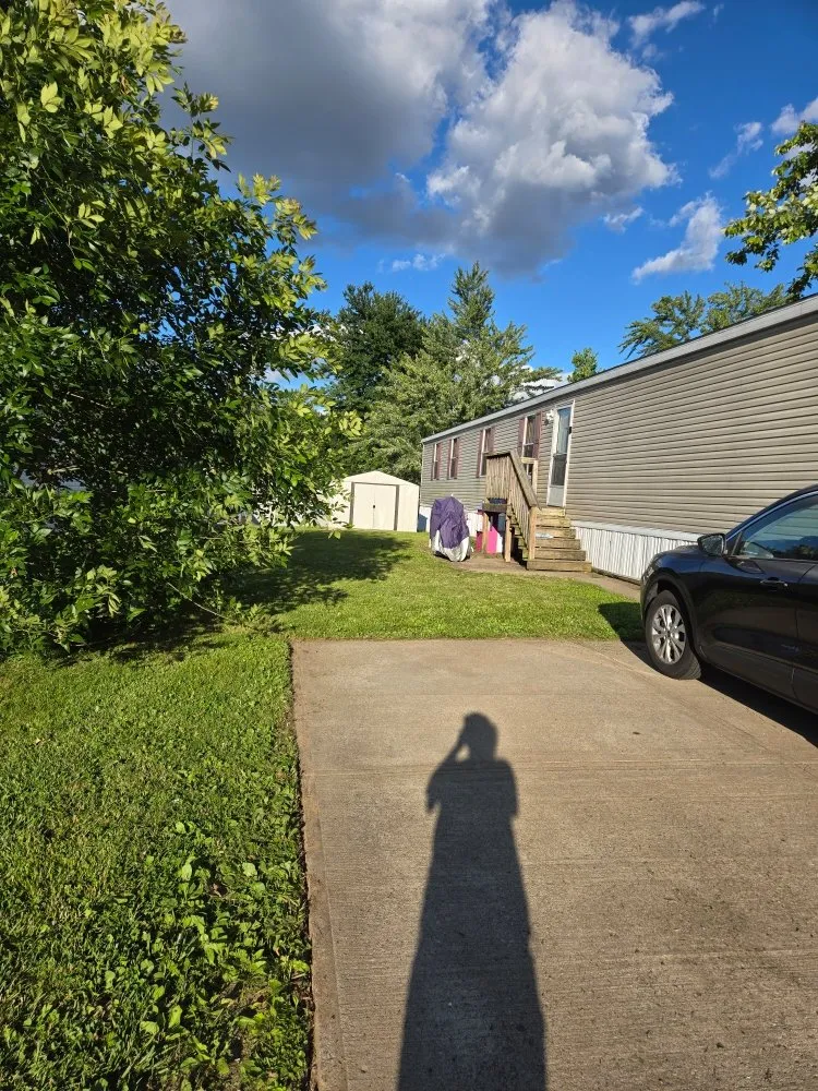 Reliable yard cleanup service experts serving St. Peters, MO - JBM Contracting