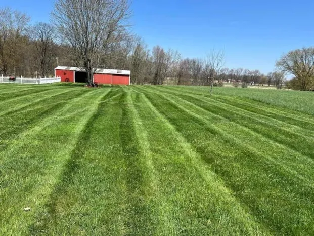 Affordable lawn care service for homes across Ionia, MI - JBM Lawn Care