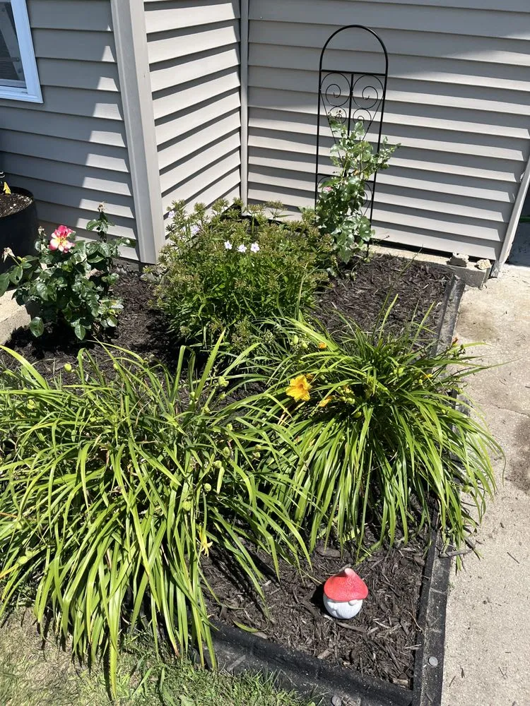 Top-rated yard maintenance in Pinconning, MI by JBM Nature Works