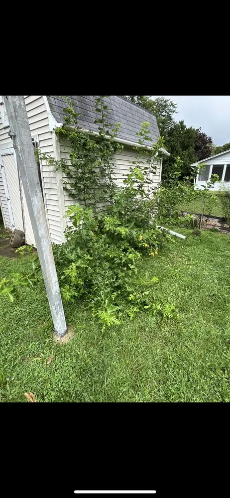 Affordable garden landscaping with custom design in Pinconning, MI by JBM Nature Works