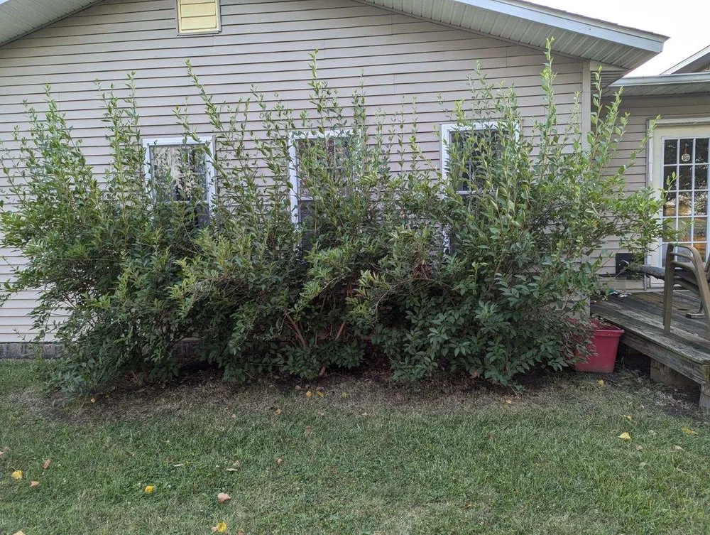 Reliable lawn mowing service for outdoor upgrades in Pinconning, MI by JBM Nature Works