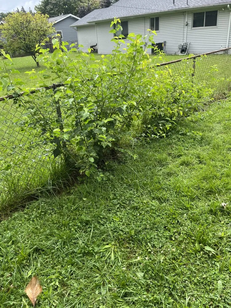 Top-rated garden landscaping for homes in Pinconning, MI by JBM Nature Works