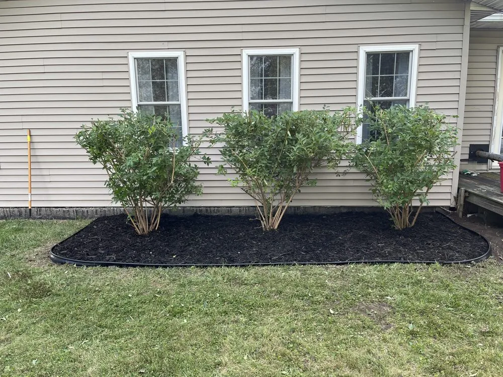 Professional yard cleanup service for year-round maintenance across Pinconning, MI - JBM Nature Works