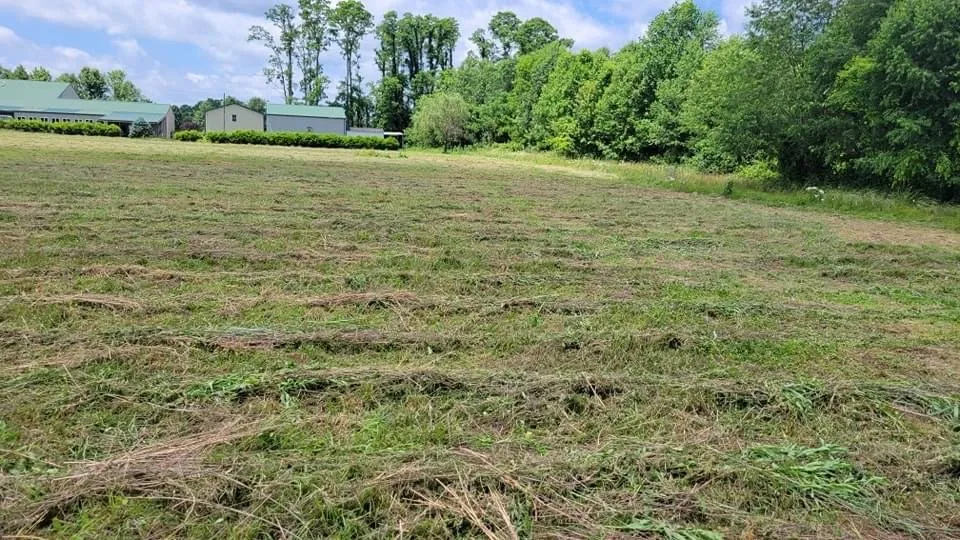 Top-rated lawn mowing service in Sellersburg, IN - Jboyz Lawncare