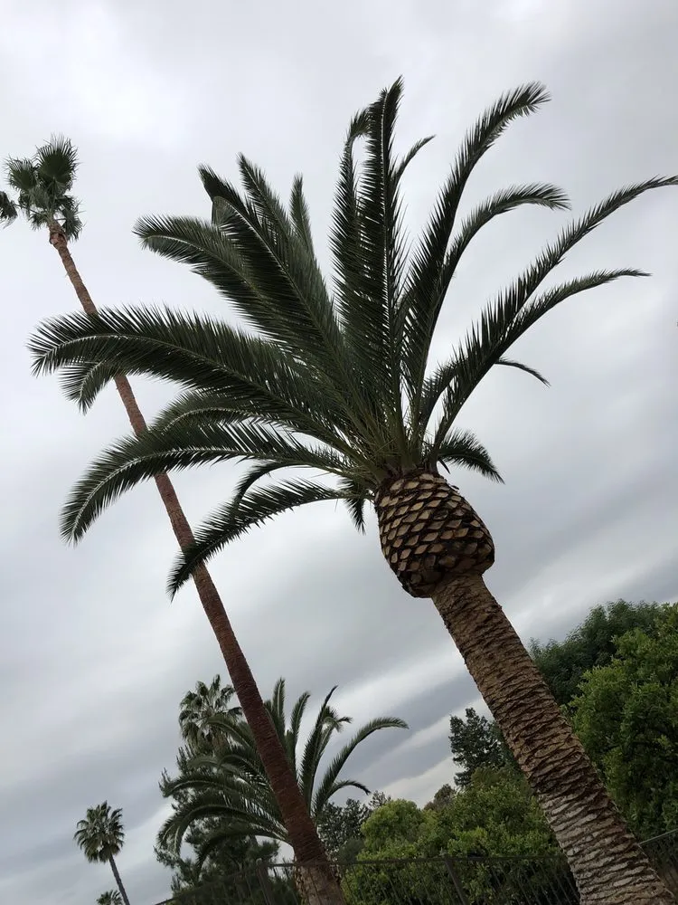 Top-rated lawn mowing service experts serving Riverside, CA - JBP Landscaping