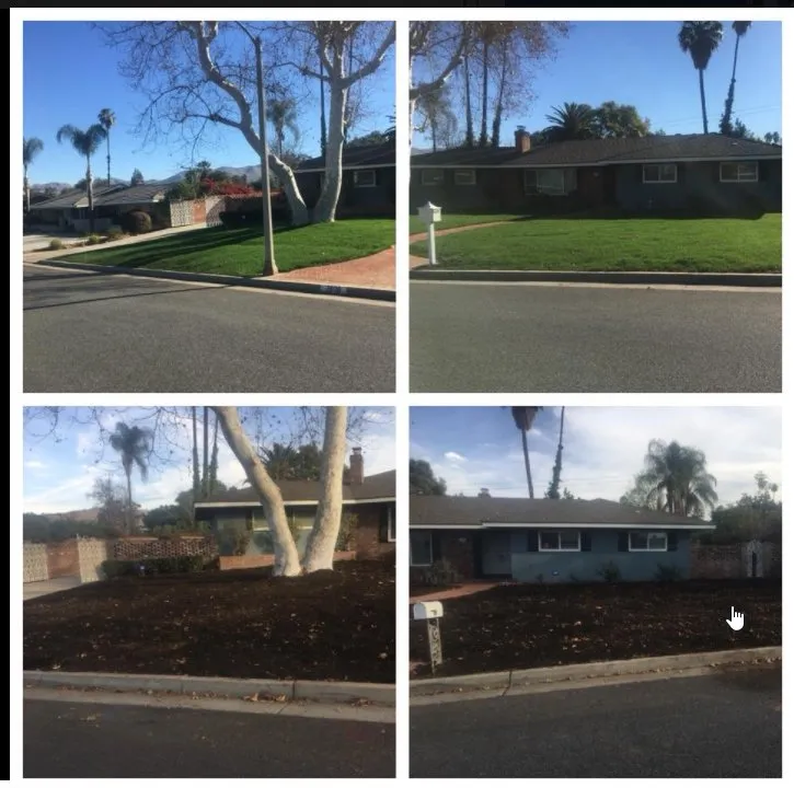 Top-rated landscape installation in Riverside, CA by JBP Landscaping