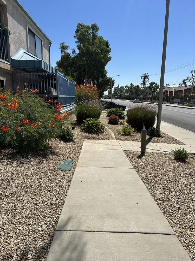 Expert lawn care service with custom design across Riverside, CA - JBP Landscaping