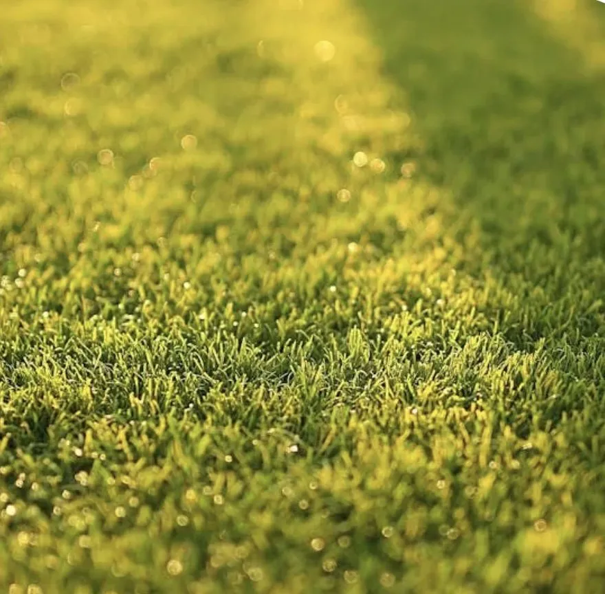 Trusted landscape installation for beautiful yards in San Antonio, TX by JBR Landscapes