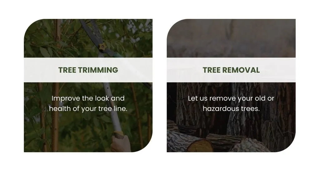 Expert lawn mowing service for outdoor upgrades in San Antonio, TX by JBR Landscapes