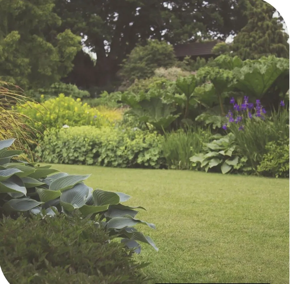 Professional landscaping services for residential properties across San Antonio, TX - JBR Landscapes