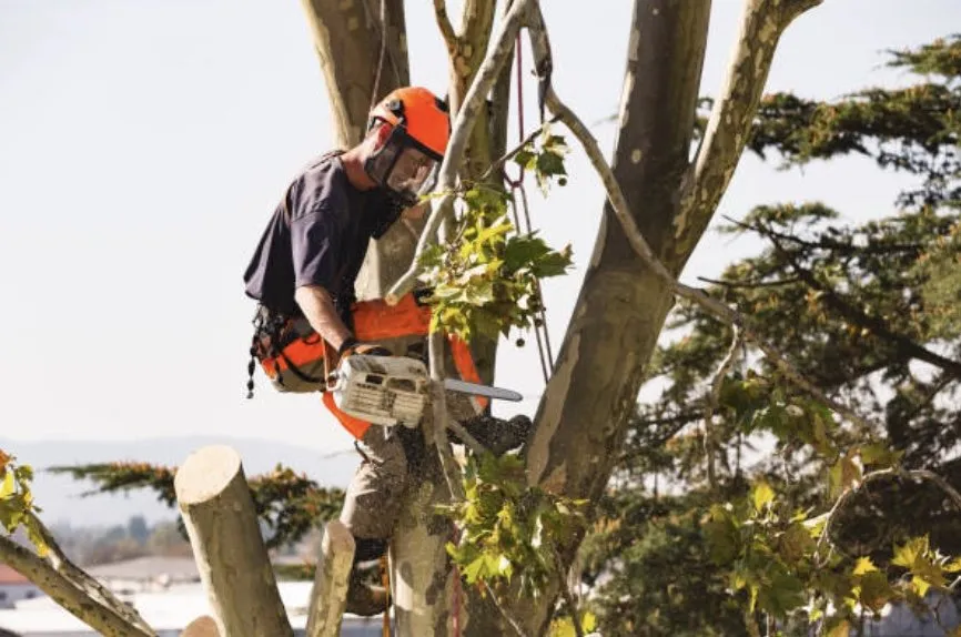 Expert landscape installation in San Antonio, TX by JBR Landscapes