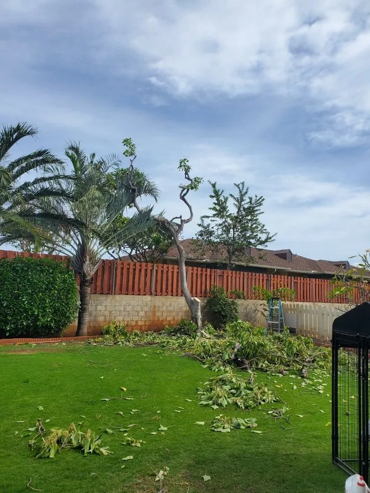 Custom outdoor landscaping in Honolulu, HI by JBR Landscaping & Yard Services