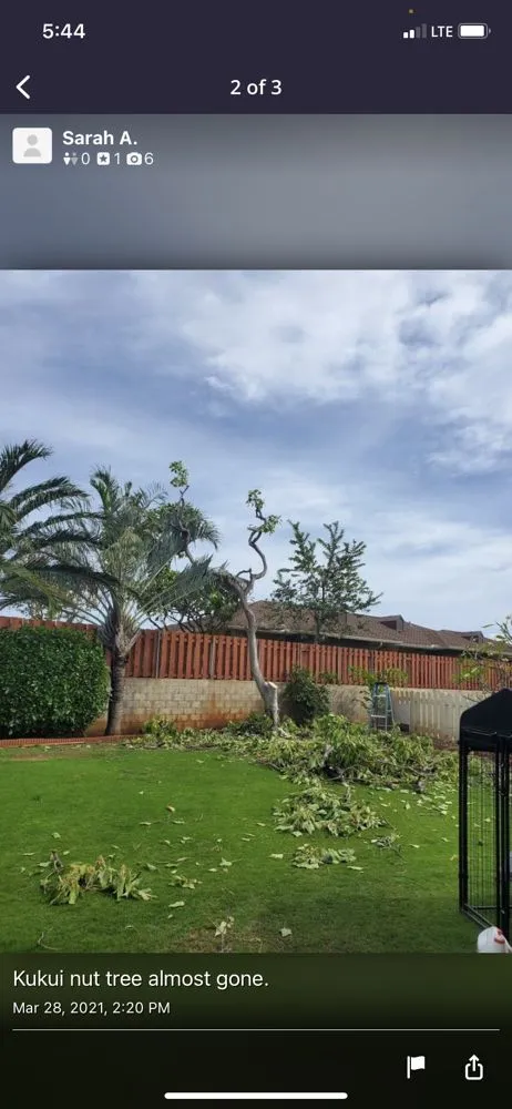 Professional yard maintenance in Honolulu, HI by JBR Landscaping & Yard Services