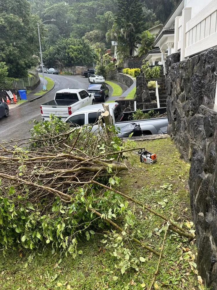 Professional landscape installation in Honolulu, HI by JBR Landscaping & Yard Services