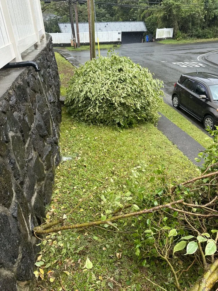 Trusted yard maintenance experts serving Honolulu, HI - JBR Landscaping & Yard Services