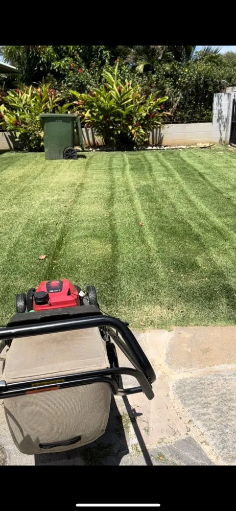 Trusted landscaping services for year-round maintenance across Honolulu, HI - JBR Landscaping & Yard Services