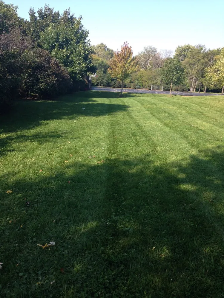 Professional yard cleanup service for beautiful yards in Chicago, IL by JBS & Sons Landscaping Maintenance