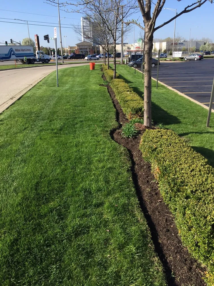 Trusted yard cleanup service for homes across Chicago, IL - JBS & Sons Landscaping Maintenance