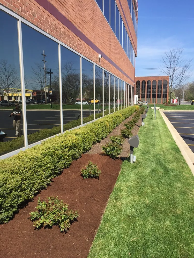 Professional yard cleanup service near you across Chicago, IL - JBS & Sons Landscaping Maintenance