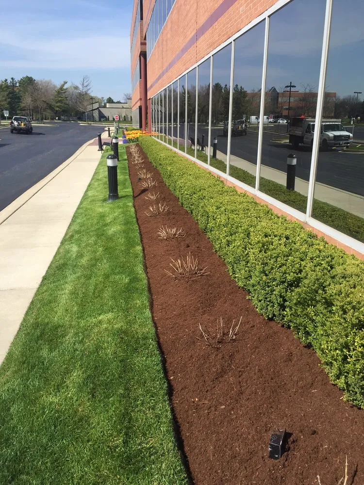 Expert lawn care service experts serving Chicago, IL - JBS & Sons Landscaping Maintenance