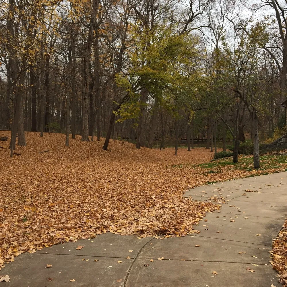 Top-rated outdoor landscaping for year-round maintenance across Chicago, IL - JBS & Sons Landscaping Maintenance