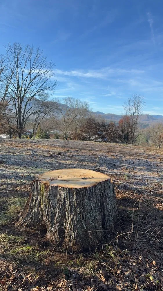 Professional garden landscaping experts serving Tryon, NC - JB’s Dumpsters & Waste Management