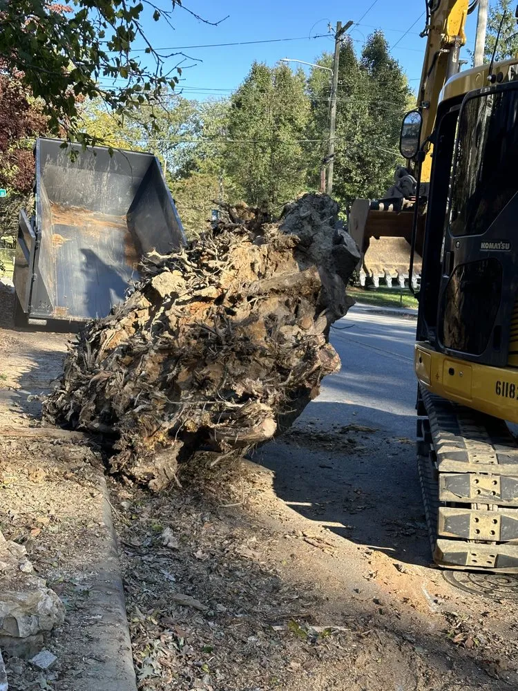 Trusted yard maintenance for beautiful yards in Tryon, NC by JB’s Dumpsters & Waste Management