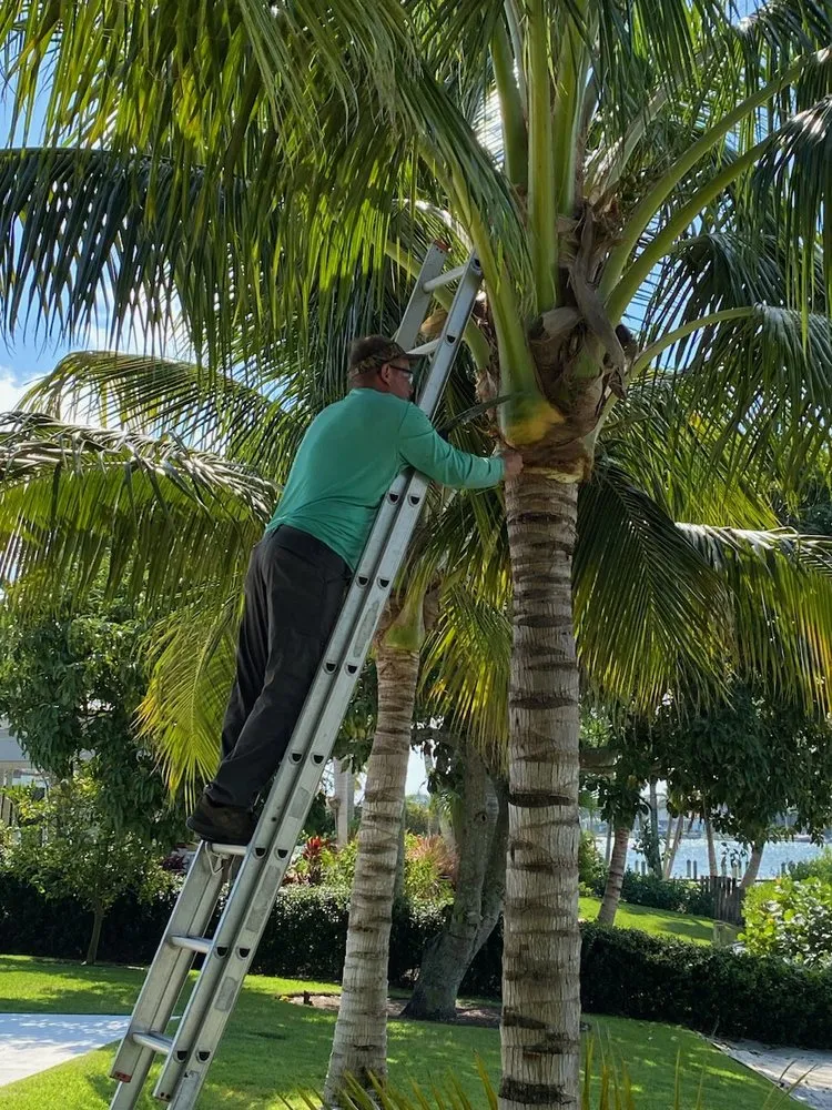 Expert landscaping services in Hobe Sound, FL - JB's Estatescapes