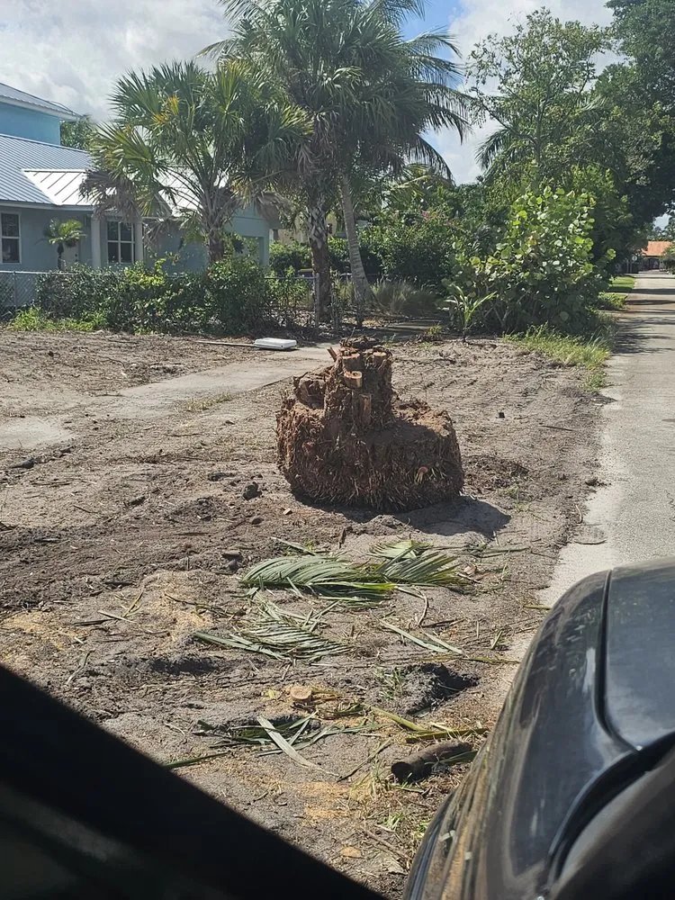 Professional landscape installation in Hobe Sound, FL - JB's Estatescapes
