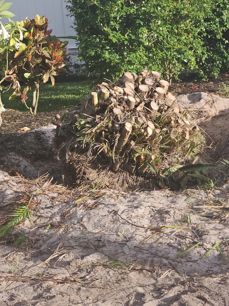 Expert outdoor landscaping experts serving Hobe Sound, FL - JB's Estatescapes