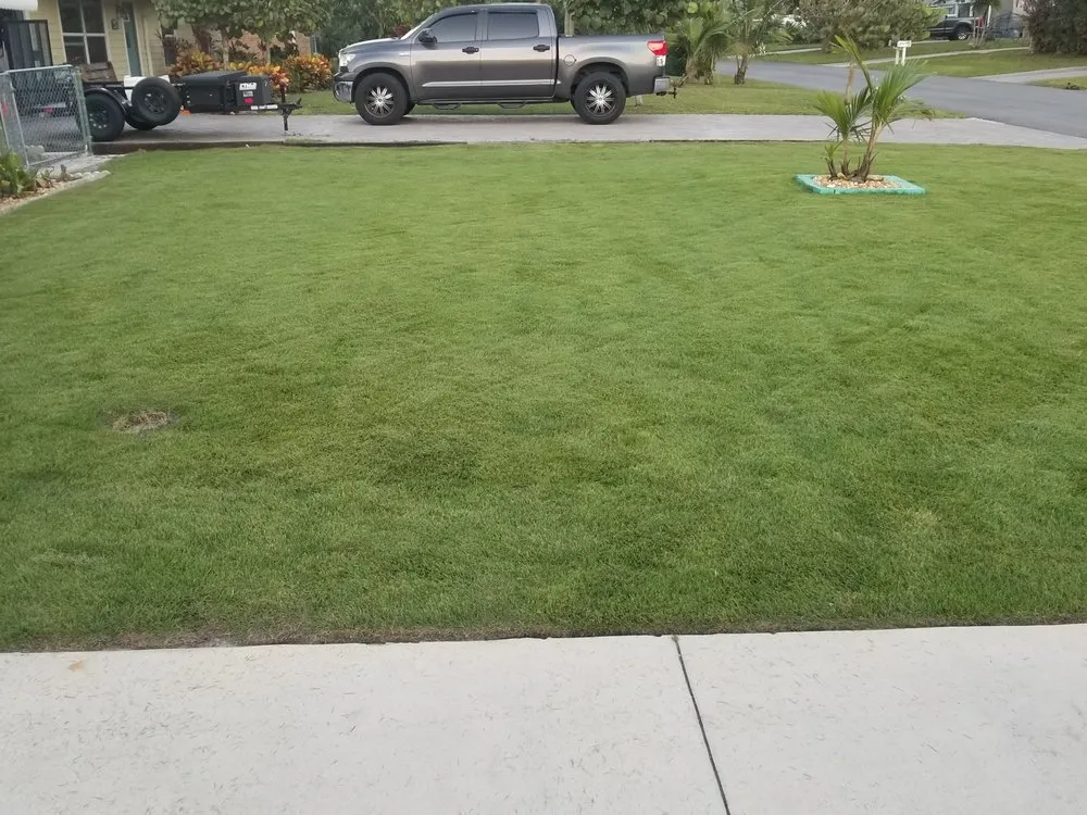 Reliable yard cleanup service for year-round maintenance across Hobe Sound, FL - JB's Estatescapes