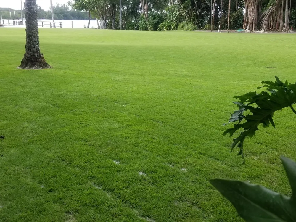 Custom landscape installation for beautiful yards across Hobe Sound, FL - JB's Estatescapes