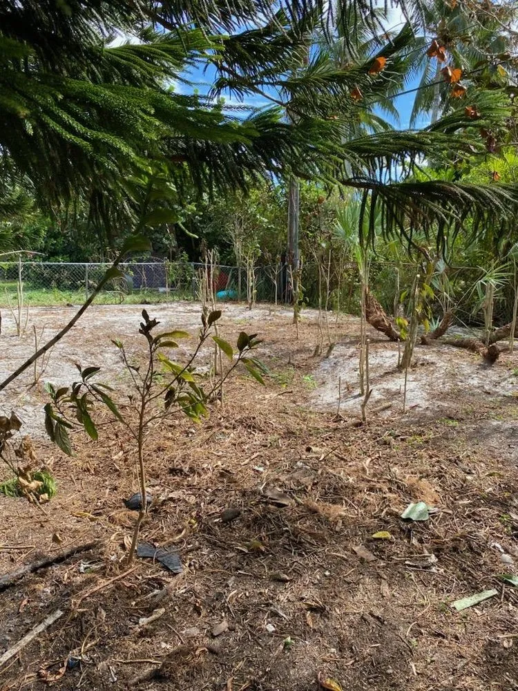 Trusted landscape design for outdoor upgrades across Hobe Sound, FL - JB's Estatescapes