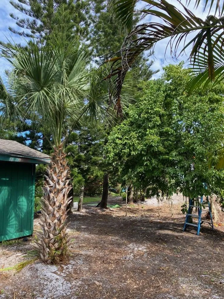 Reliable outdoor landscaping in Hobe Sound, FL - JB's Estatescapes