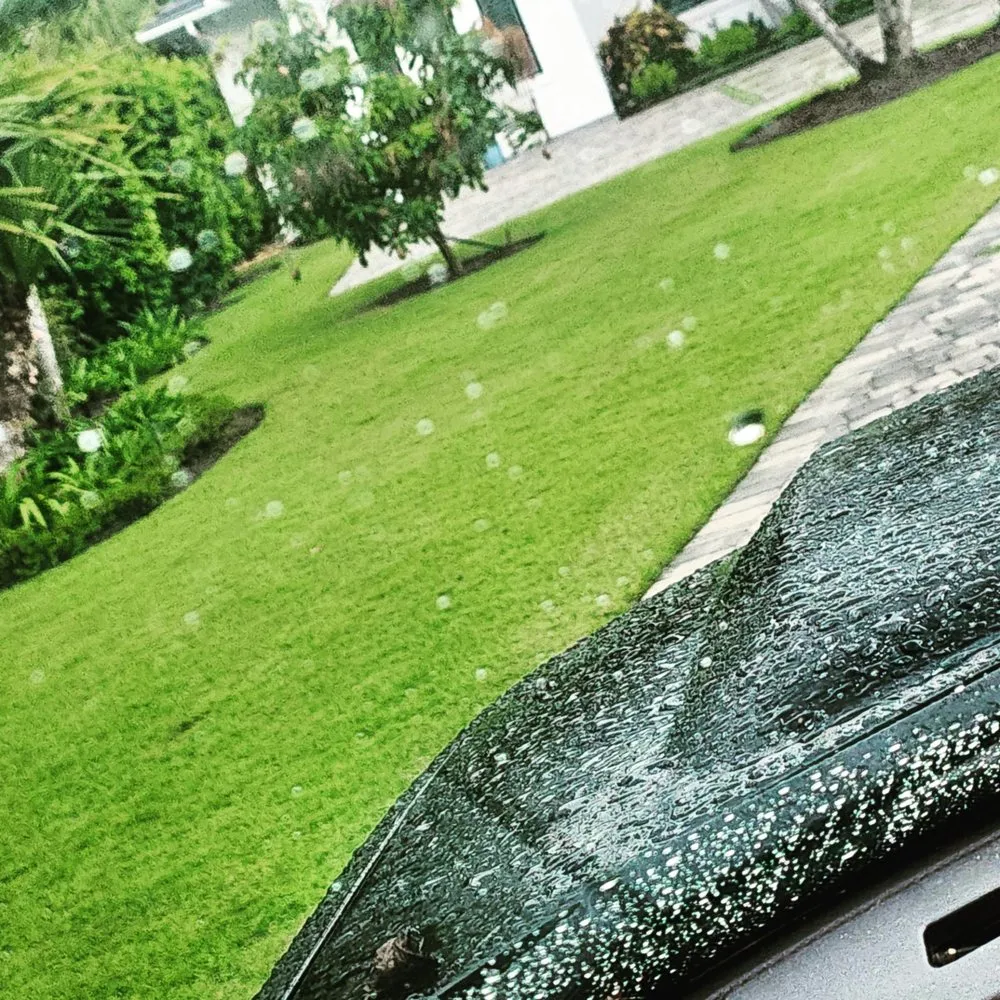 Reliable lawn care service experts serving Hobe Sound, FL - JB's Estatescapes