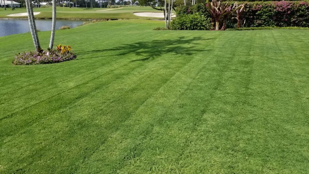 Local landscape design in Hobe Sound, FL - JB's Estatescapes