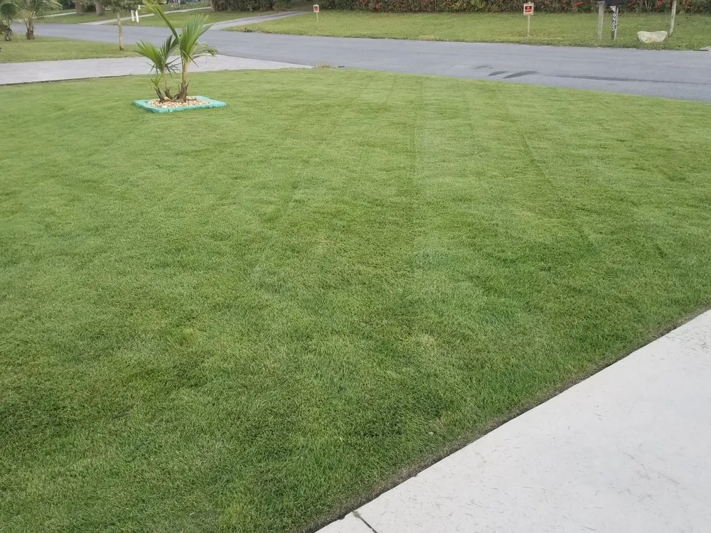 Reliable landscaping services for homes in Hobe Sound, FL by JB's Estatescapes