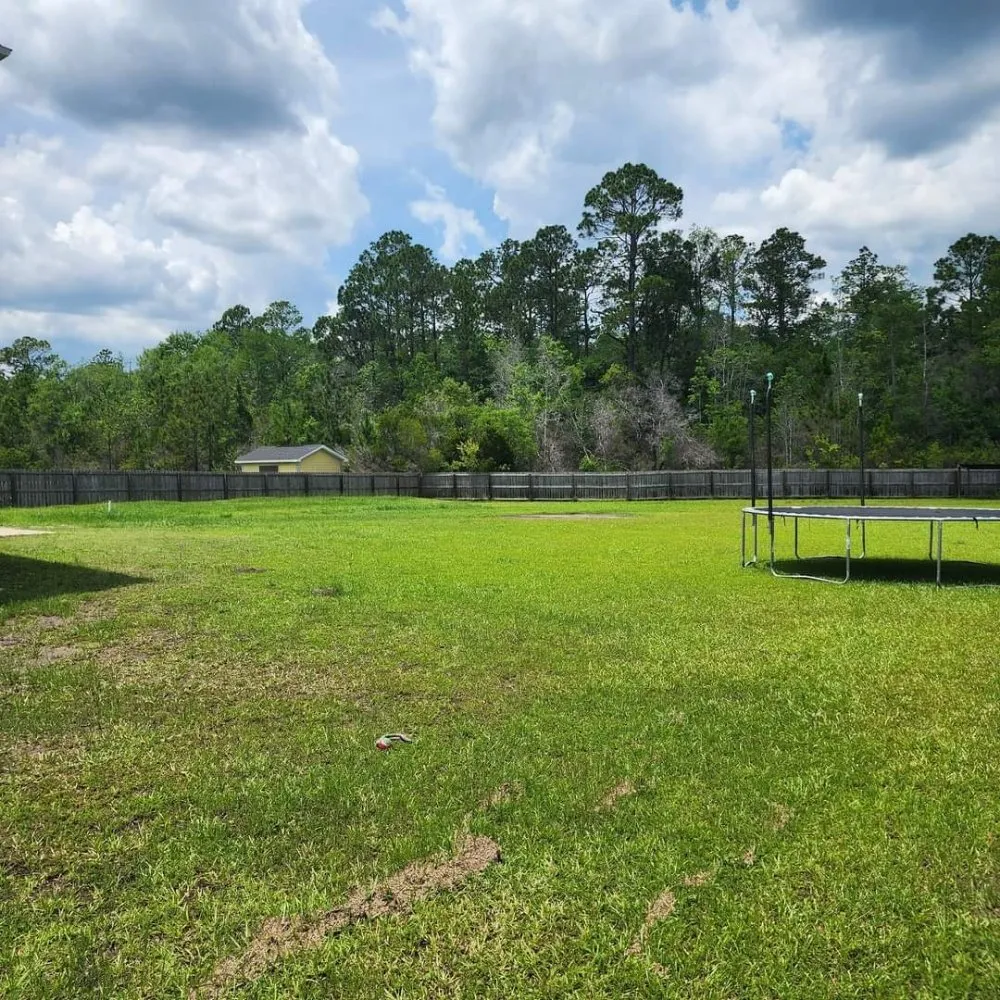 Trusted landscape installation experts serving Ludowici, GA - Jb's Grass Cutting