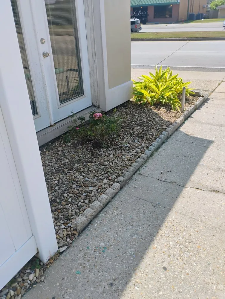 Top-rated yard cleanup service experts serving New Orleans, LA - J&B's Ground Up Home Services