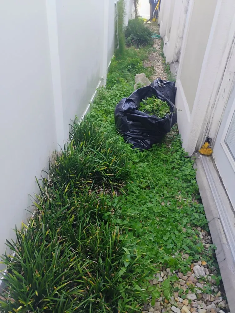 Professional outdoor landscaping experts serving New Orleans, LA - J&B's Ground Up Home Services