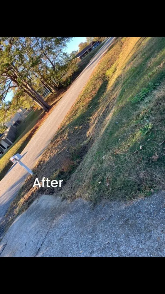 Professional lawn care service for year-round maintenance in Salem, AL by JBS Landcare and Construction