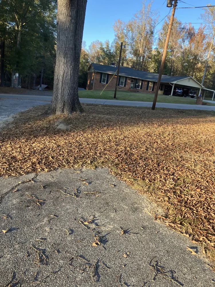 Reliable yard maintenance experts serving Salem, AL - JBS Landcare and Construction