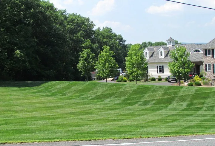 Local yard cleanup service in Flanders, NJ - JB's Landscape Design
