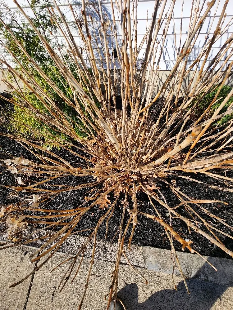 Reliable garden landscaping experts serving Brockton, MA - JB's Landscaping & Plowing Services