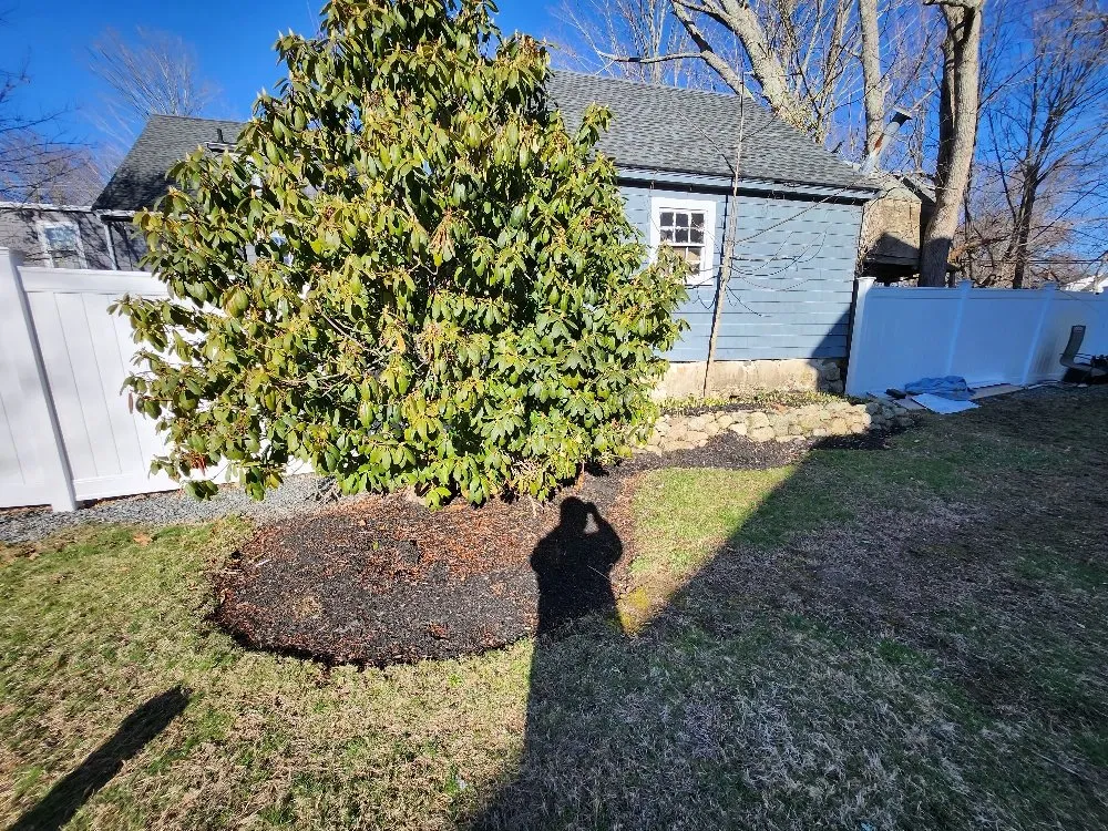 Affordable yard cleanup service in Brockton, MA by JB's Landscaping & Plowing Services