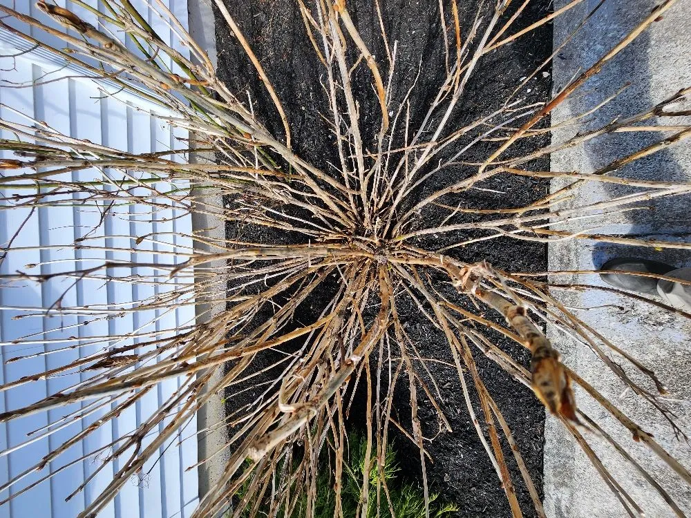 Affordable garden landscaping in Brockton, MA - JB's Landscaping & Plowing Services