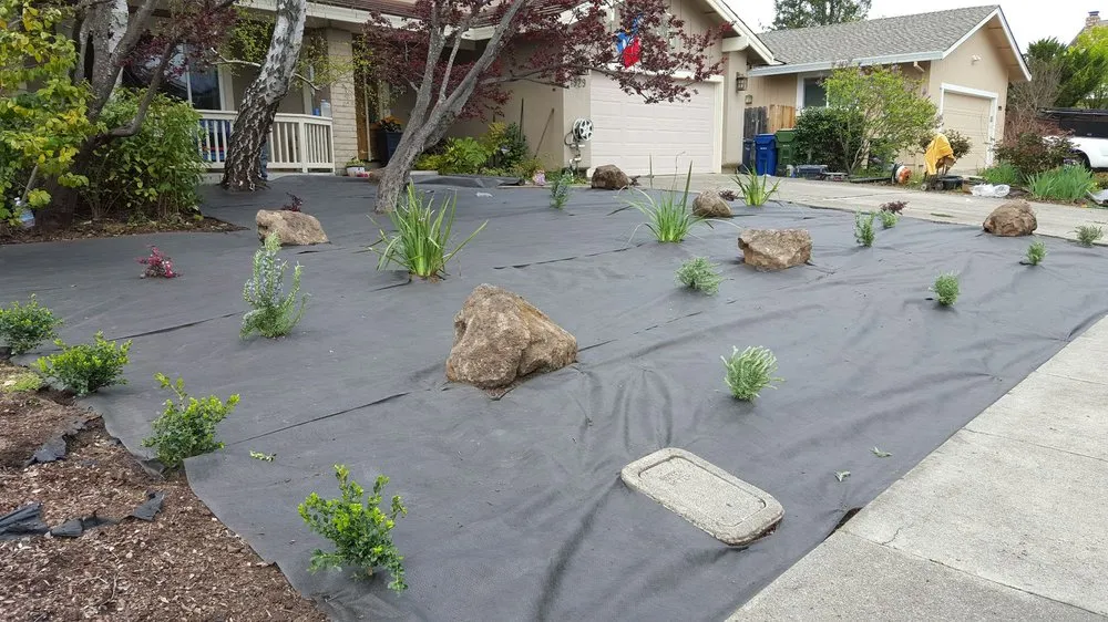 Local lawn care service in Petaluma, CA - JBS Landscaping